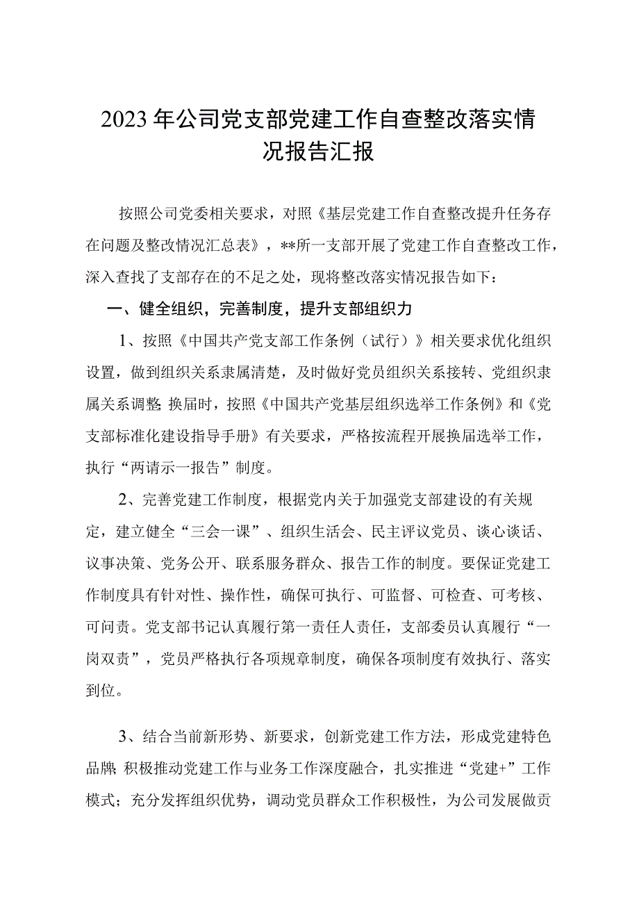 2023年公司党支部党建工作自查整改落实情况报告汇报.docx_第1页