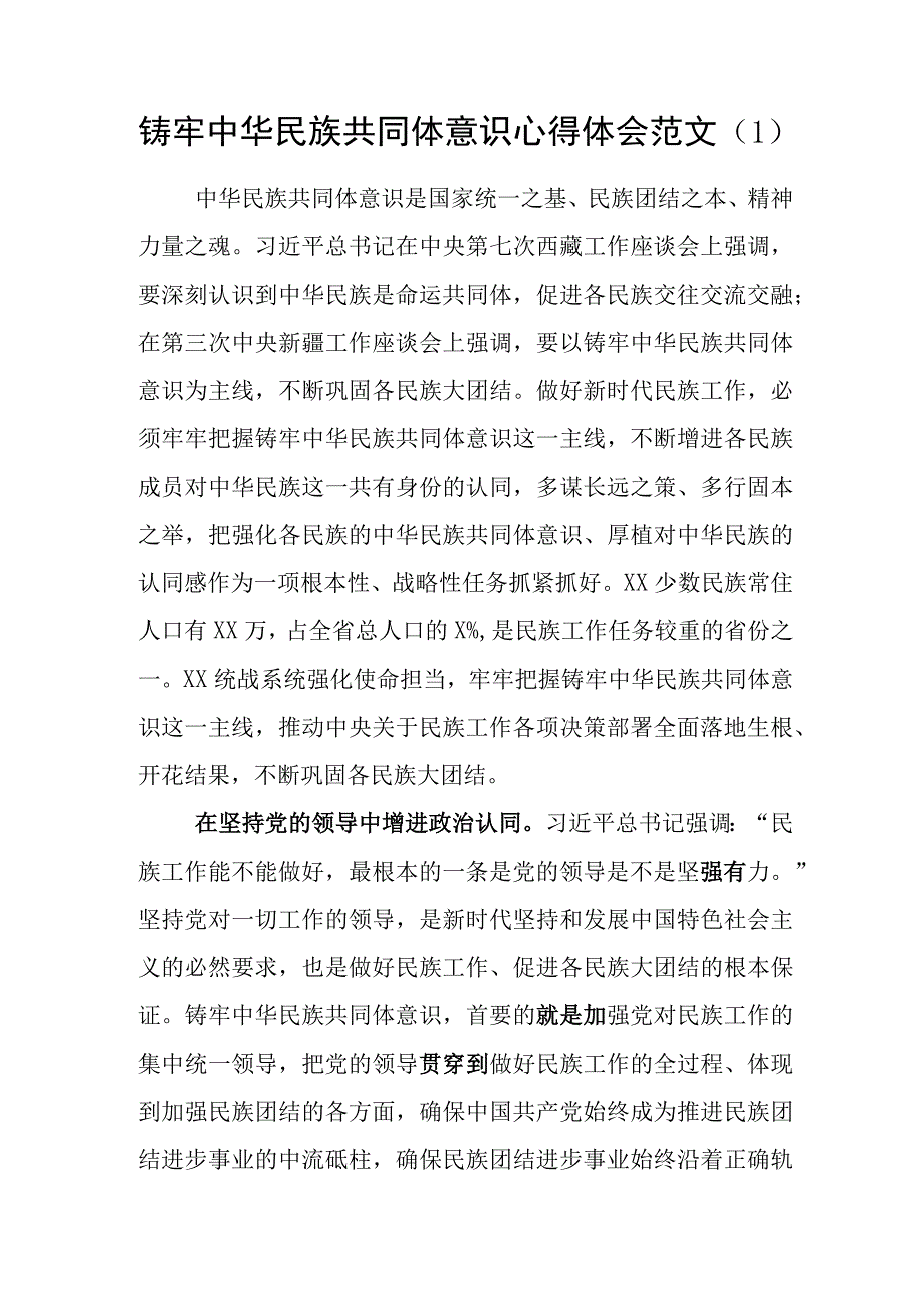 2023-2024年关于“铸牢中华民族共同体意识”学习心得体会感想领悟6篇.docx_第2页