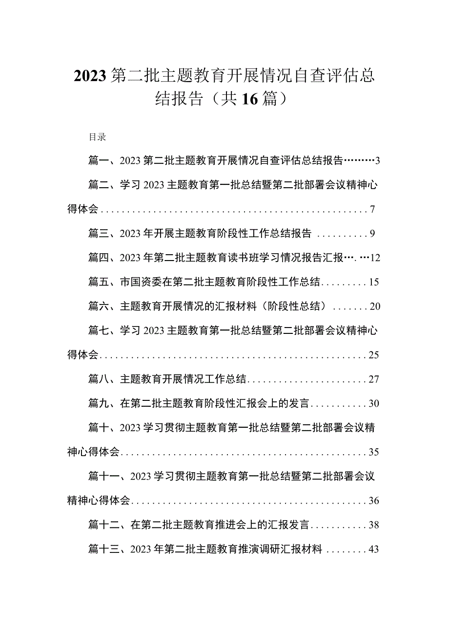 2023第二批主题教育开展情况自查评估总结报告精选（共16篇）.docx_第1页