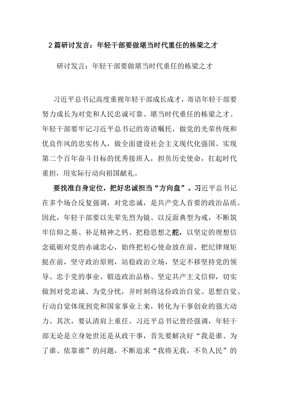 2篇研讨发言：年轻干部要做堪当时代重任的栋梁之才.docx_第1页