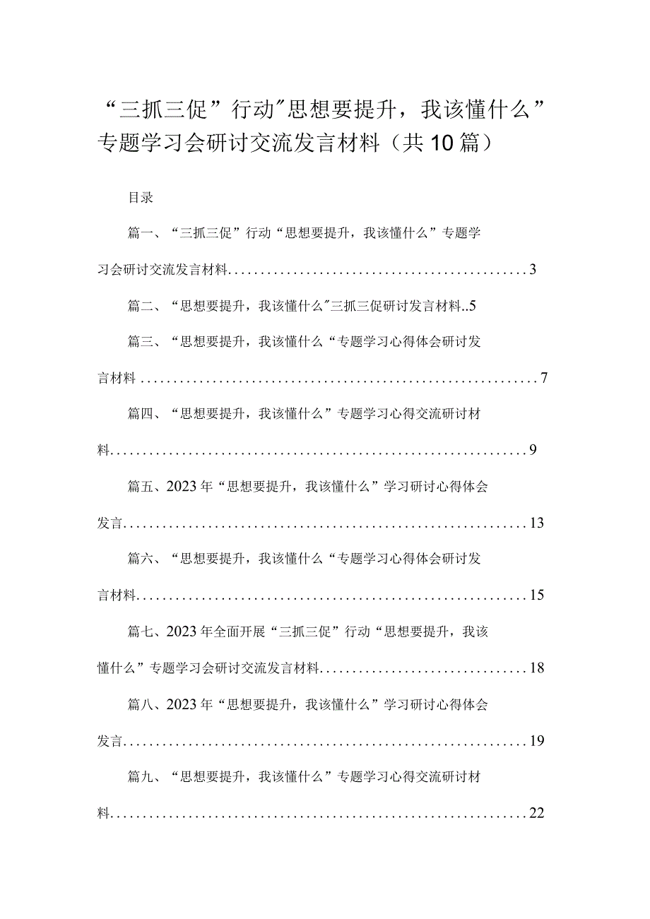 2023“三抓三促”行动“思想要提升我该懂什么”专题学习会研讨交流发言材料10篇(最新精选).docx_第1页