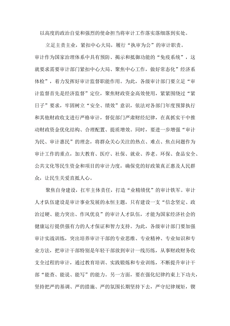 《在二十届中央审计委员会第一次会议上的讲话》读后感.docx_第2页