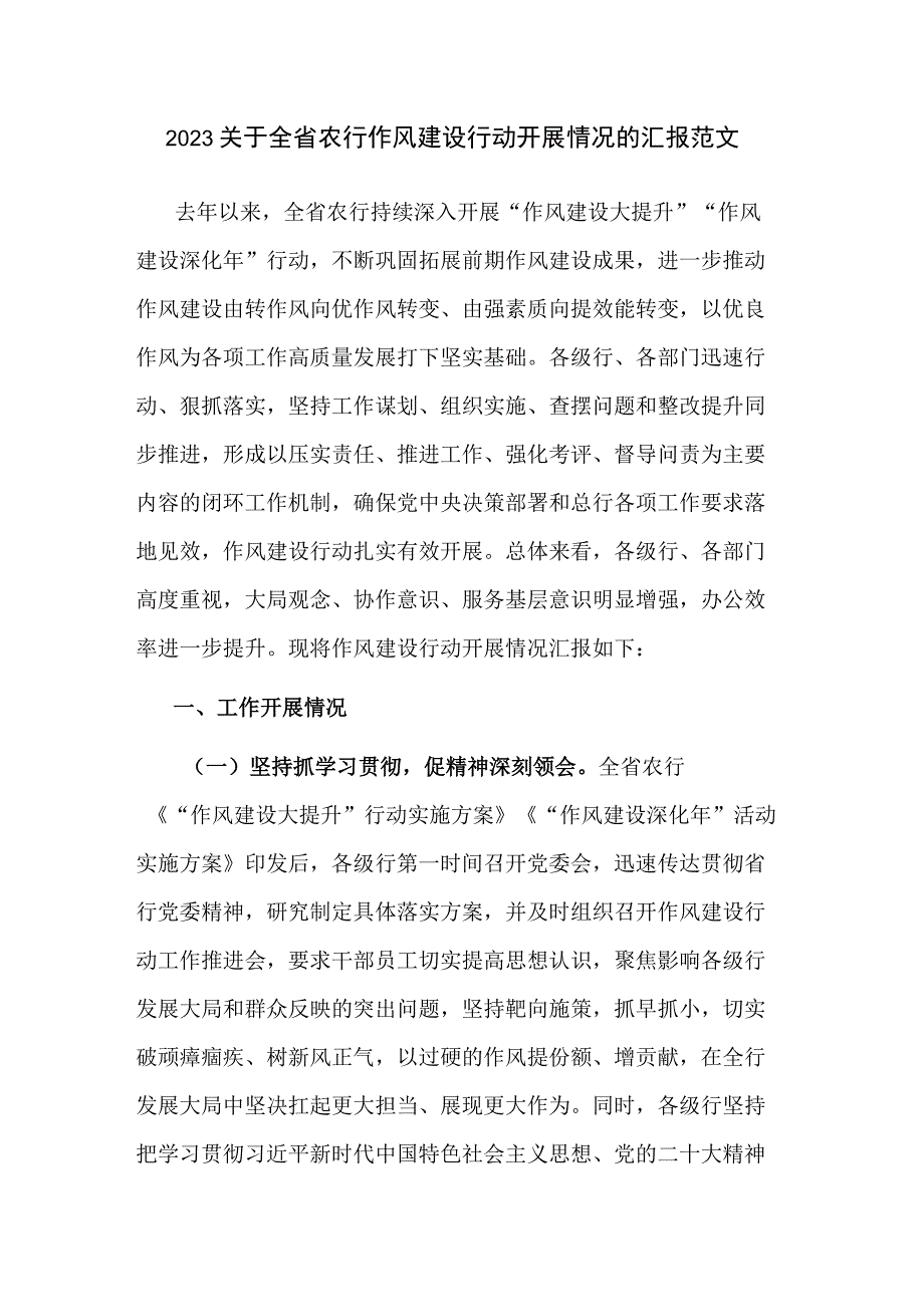 2023关于全省农行作风建设行动开展情况的汇报范文.docx_第1页