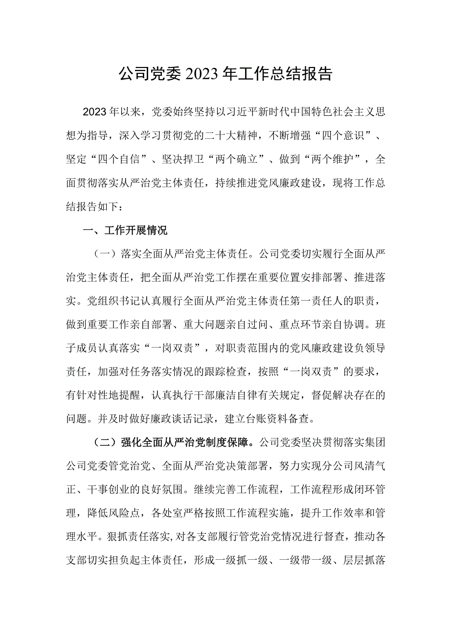 2023年工作总结报告（公司党委）.docx_第1页