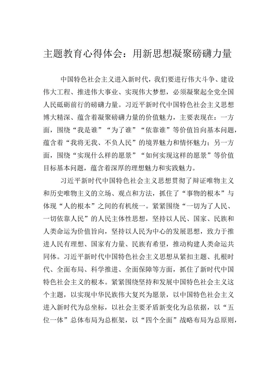 主题教育心得体会：用新思想凝聚磅礴力量.docx_第1页