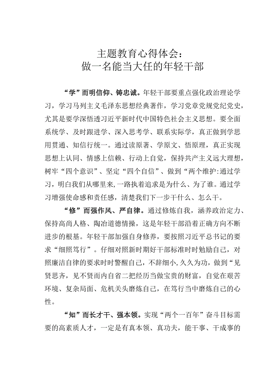 主题教育心得体会：做一名能当大任的年轻干部.docx_第1页