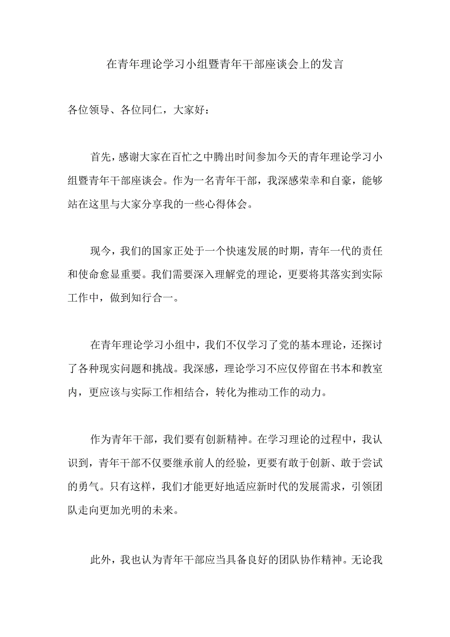 在青年理论学习小组暨青年干部座谈会上的发言.docx_第1页