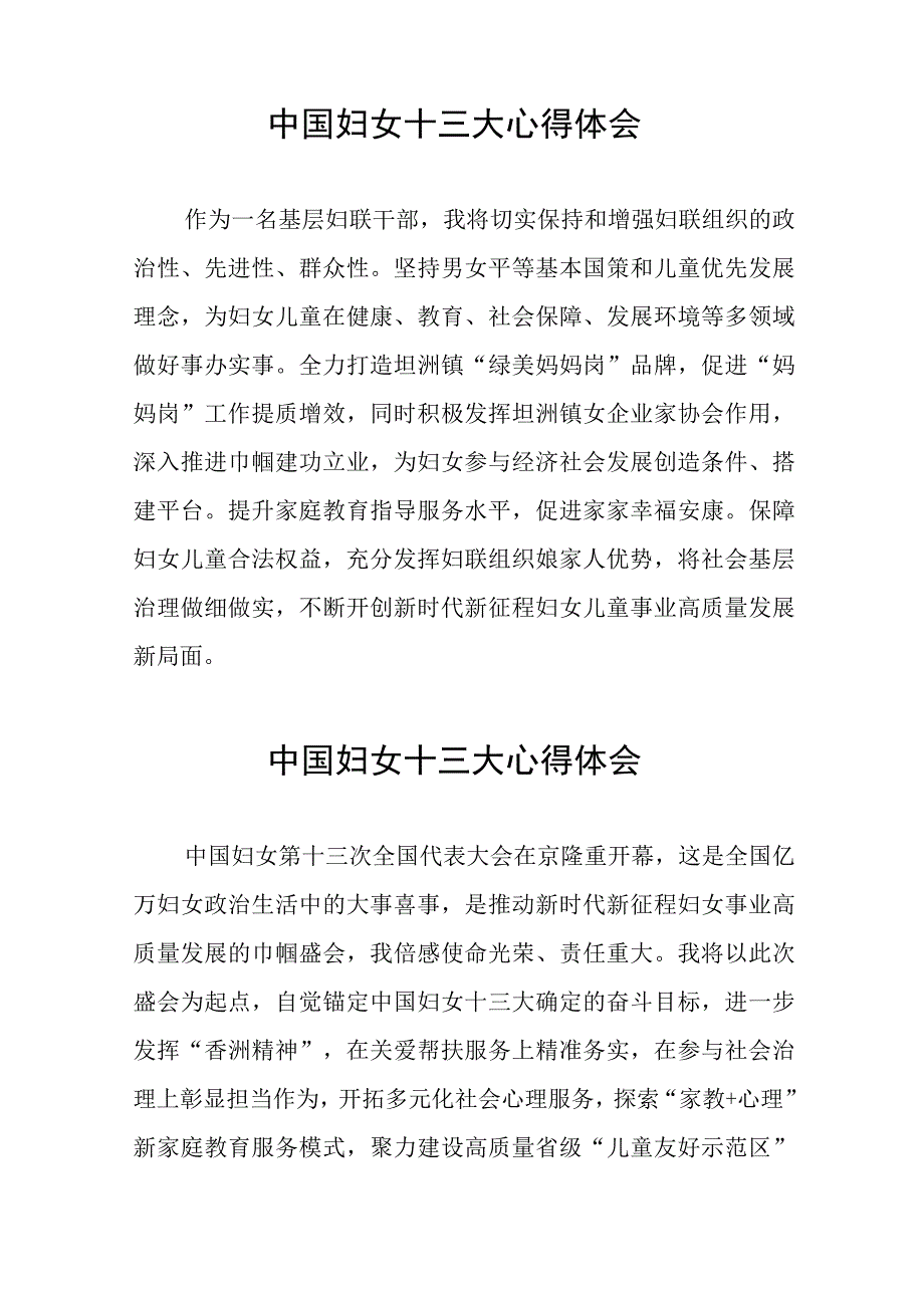 妇女主任学习中国妇女第十三次全国代表大会精神心得体会（十一篇）.docx_第3页