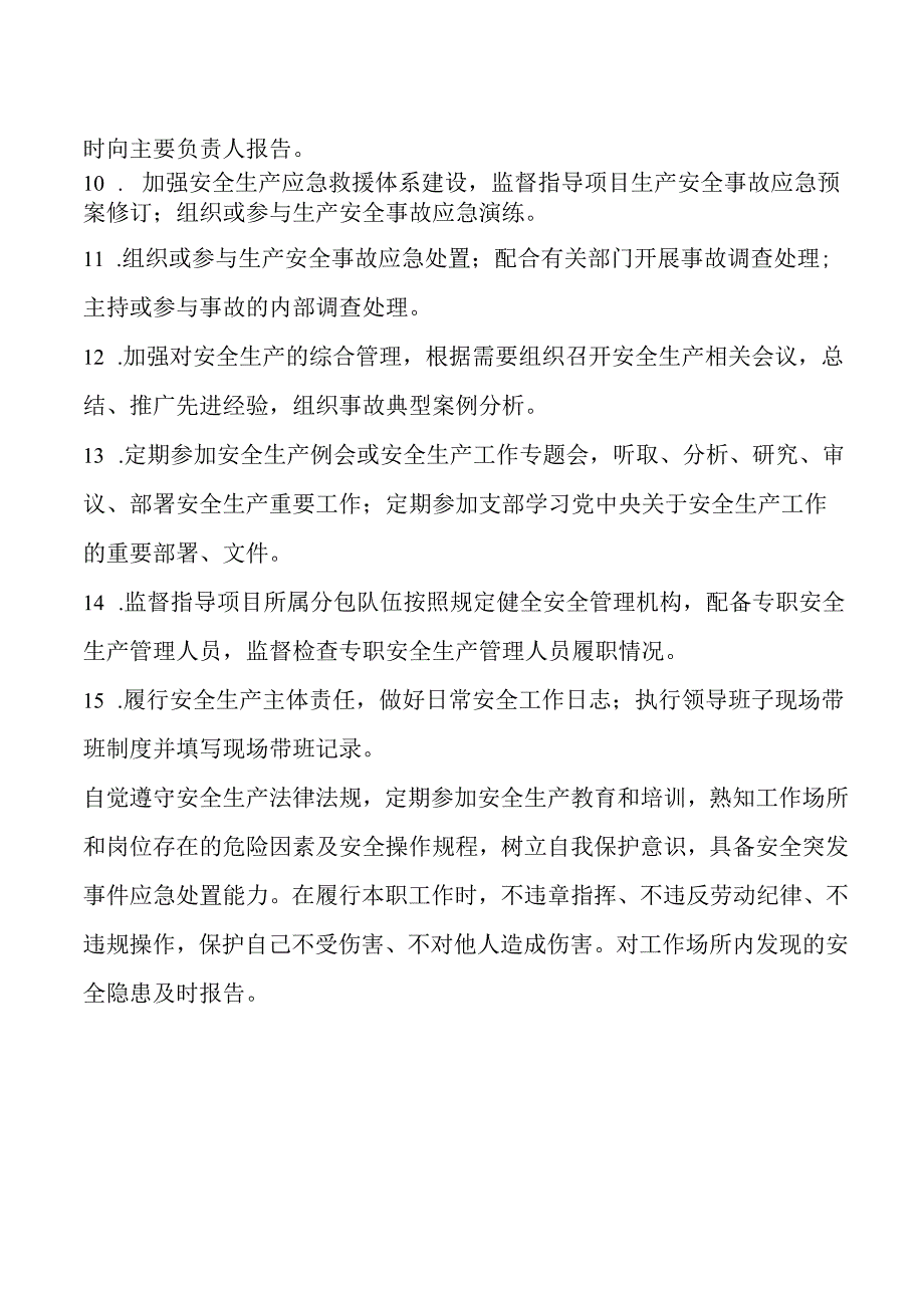 安全总监安全生产责任清单.docx_第2页