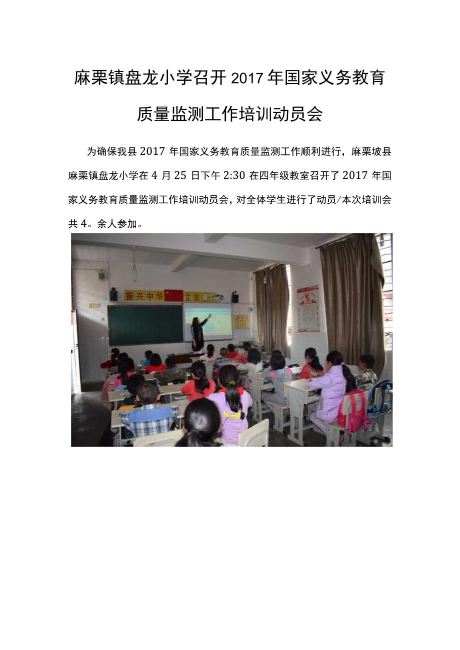 国家义务教育质量监测培训小结（麻栗镇盘龙小学）.docx_第1页