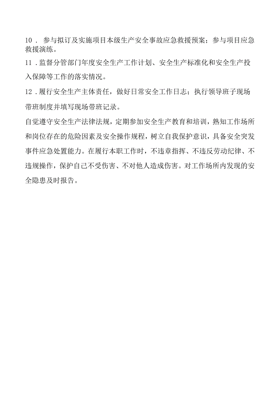 副总工安全生产责任清单.docx_第2页