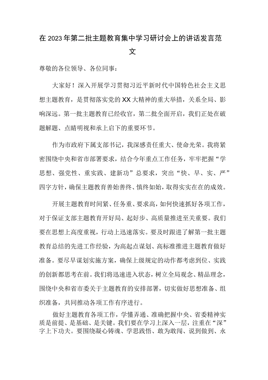 在2023年第二批主题教育集中学习研讨会上的讲话发言范文.docx_第1页