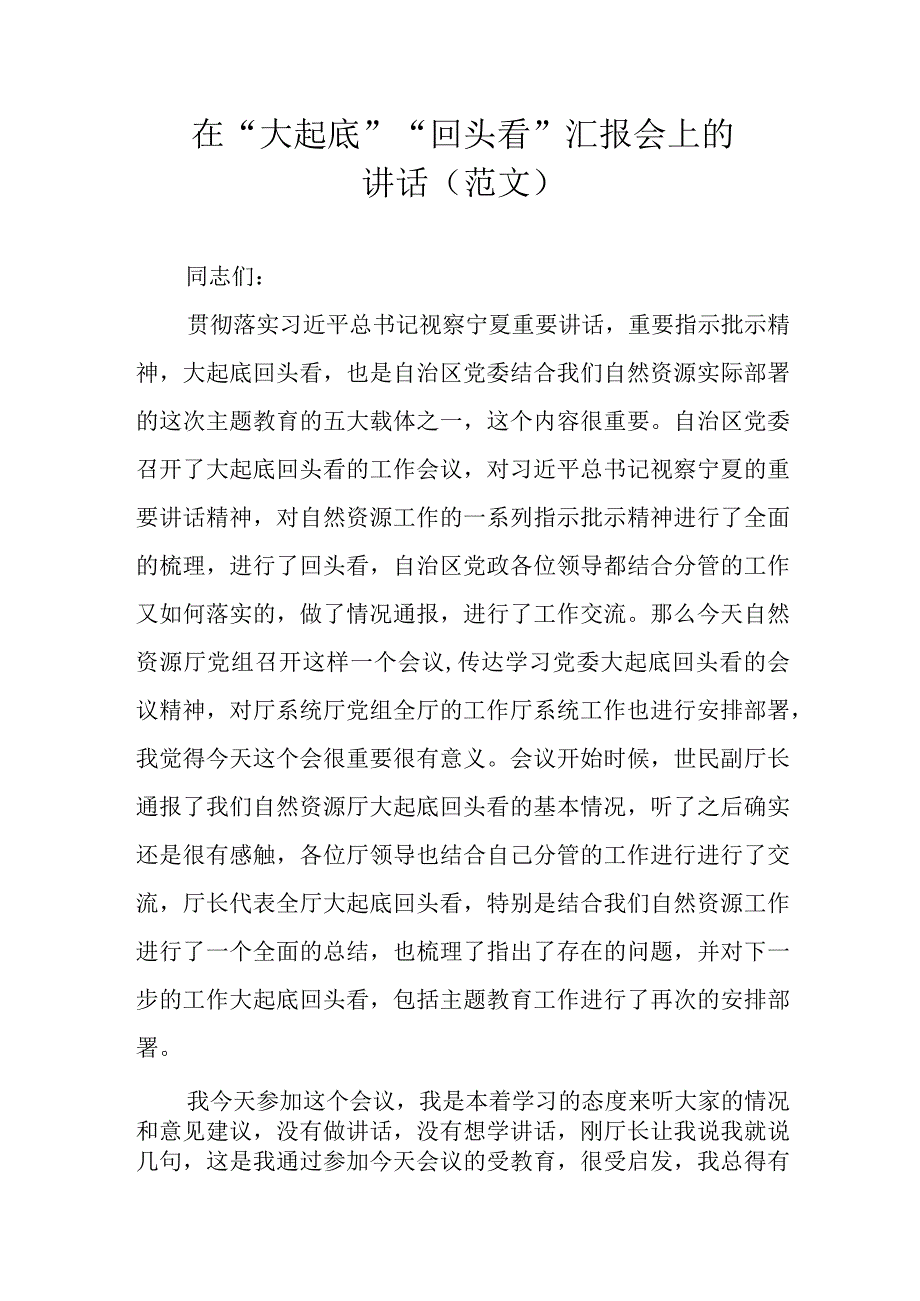 在“大起底”“回头看”汇报会上的讲话(范文）.docx_第1页