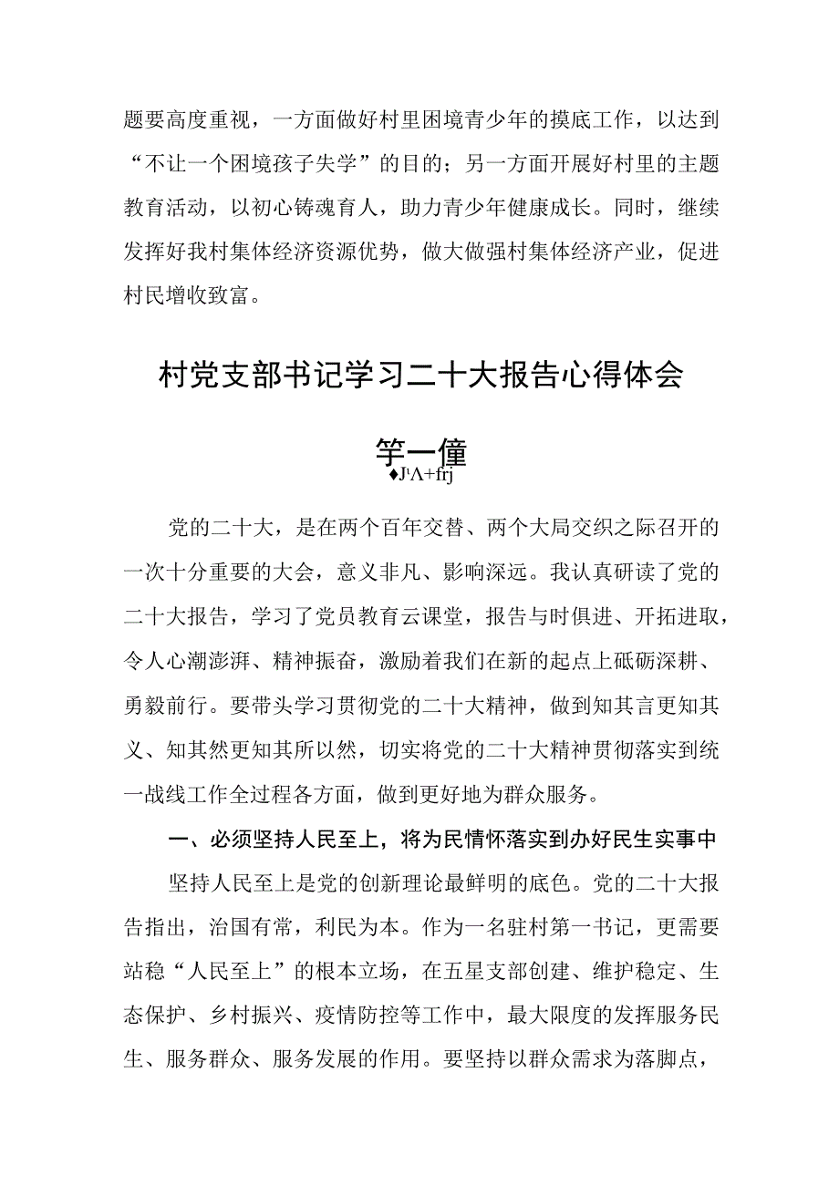 村党支部书记学习二十大报告心得体会三篇.docx_第2页