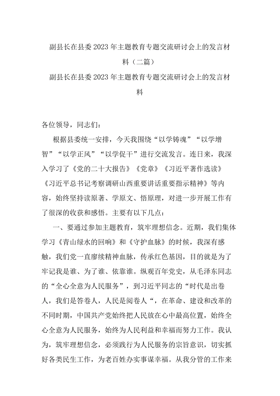 副县长在县委2023年主题教育专题交流研讨会上的发言材料(二篇).docx_第1页