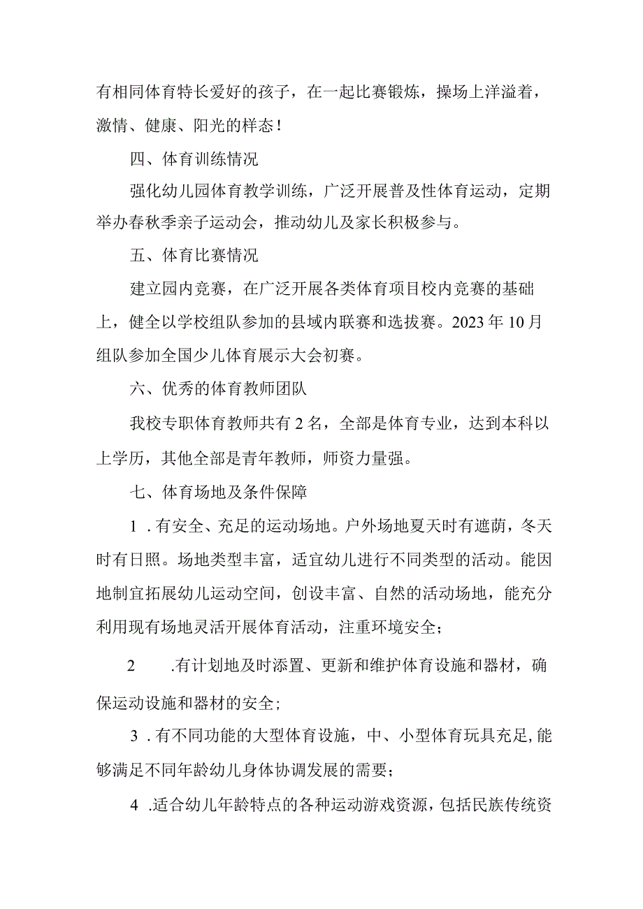 幼儿园体育工作自评结果(1).docx_第3页