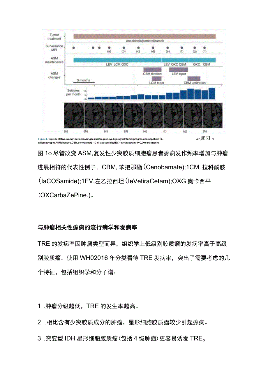 最新：与脑肿瘤相关癫痫的管理（2023年）.docx_第3页