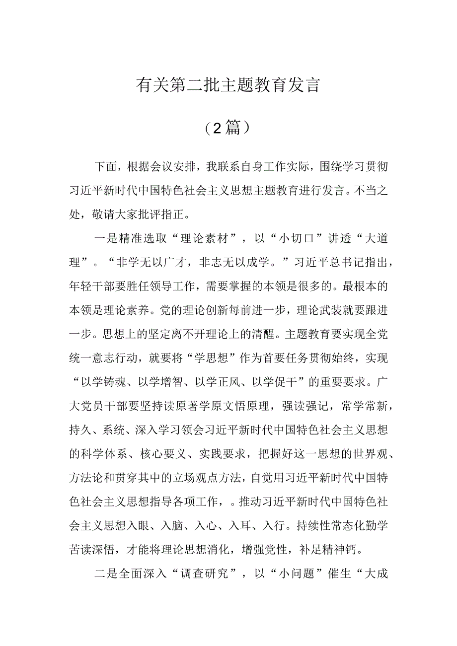 有关第二批主题教育发言（2篇）.docx_第1页