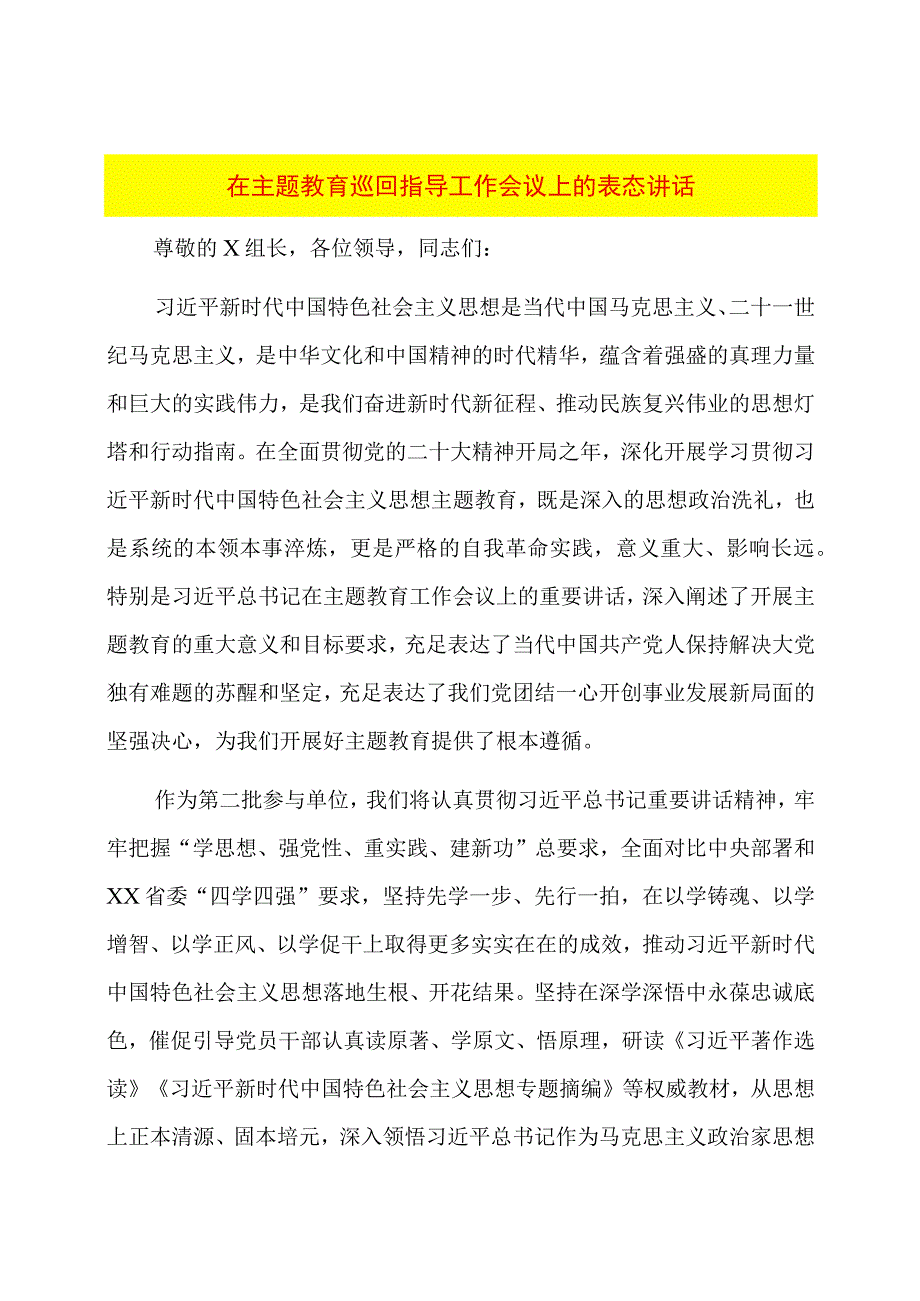 在主题教育巡回指导工作会议上的表态讲话.docx_第1页