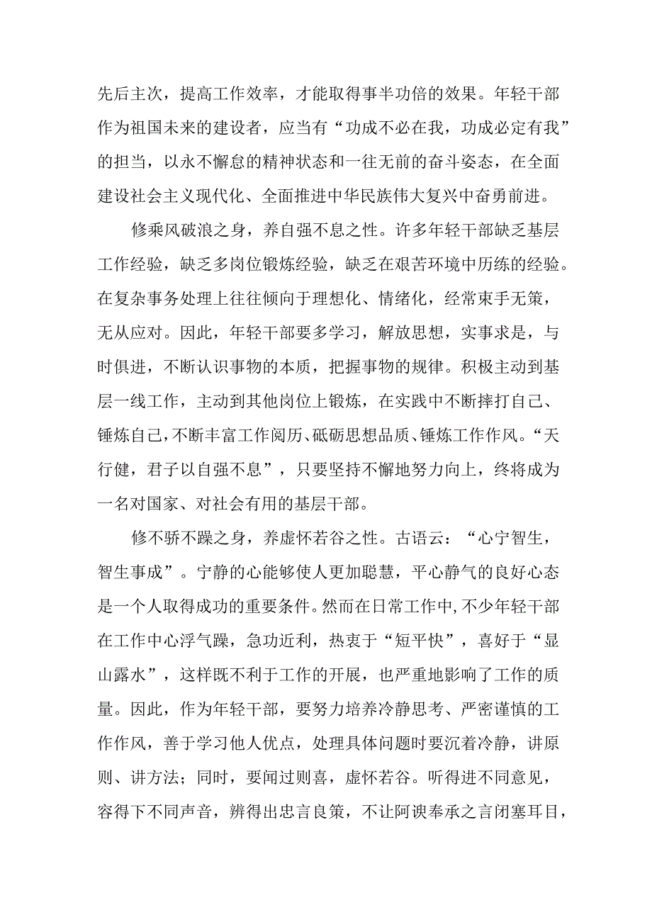 年轻干部学习党的二十大精神心得体会.docx_第2页