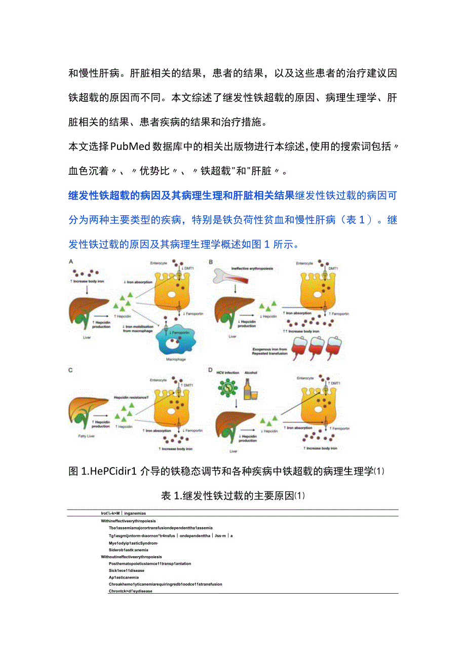 最新：继发性铁超载与肝脏：病因、机制、诊断和治疗.docx_第2页