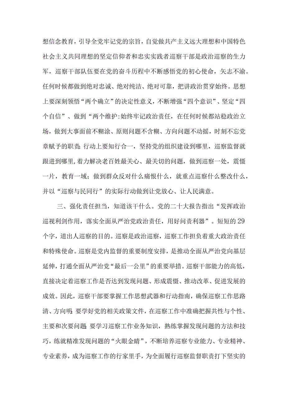 巡察干部学习党的二十大精神研讨交流发言心得体会感想4篇.docx_第3页