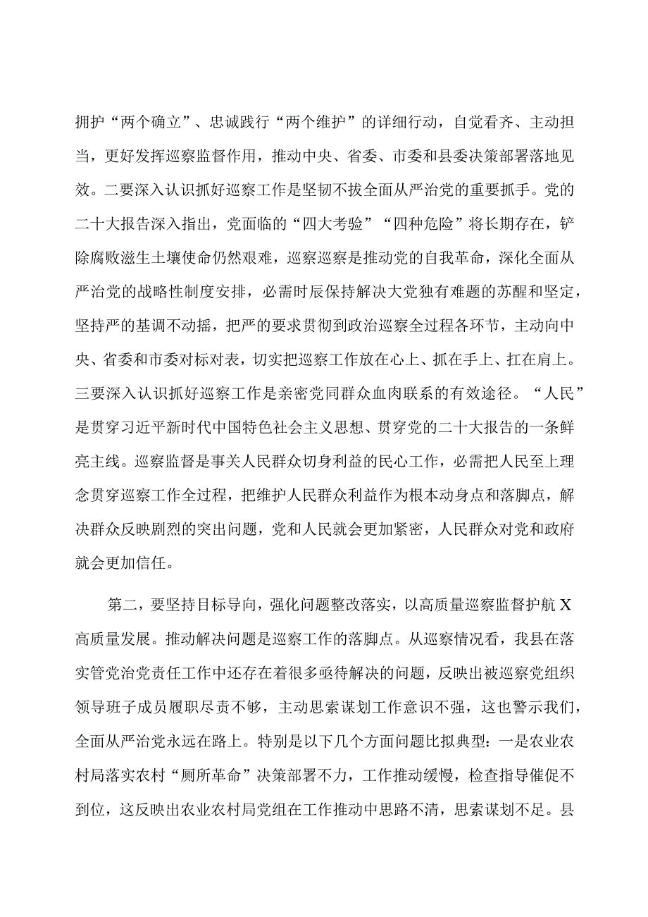 在全县巡察工作会议上的讲话.docx_第2页