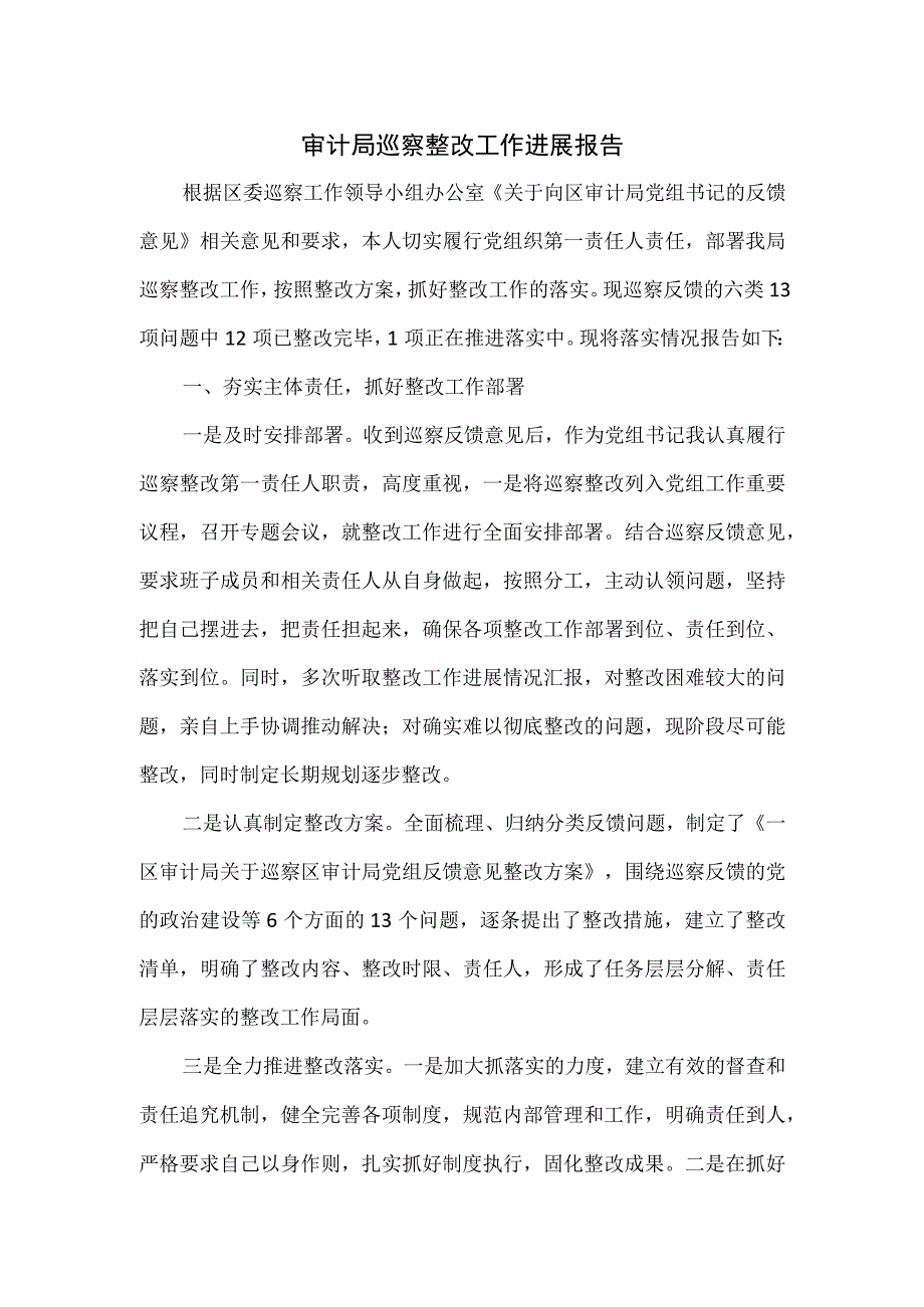 审计局巡察整改工作进展报告.docx_第1页