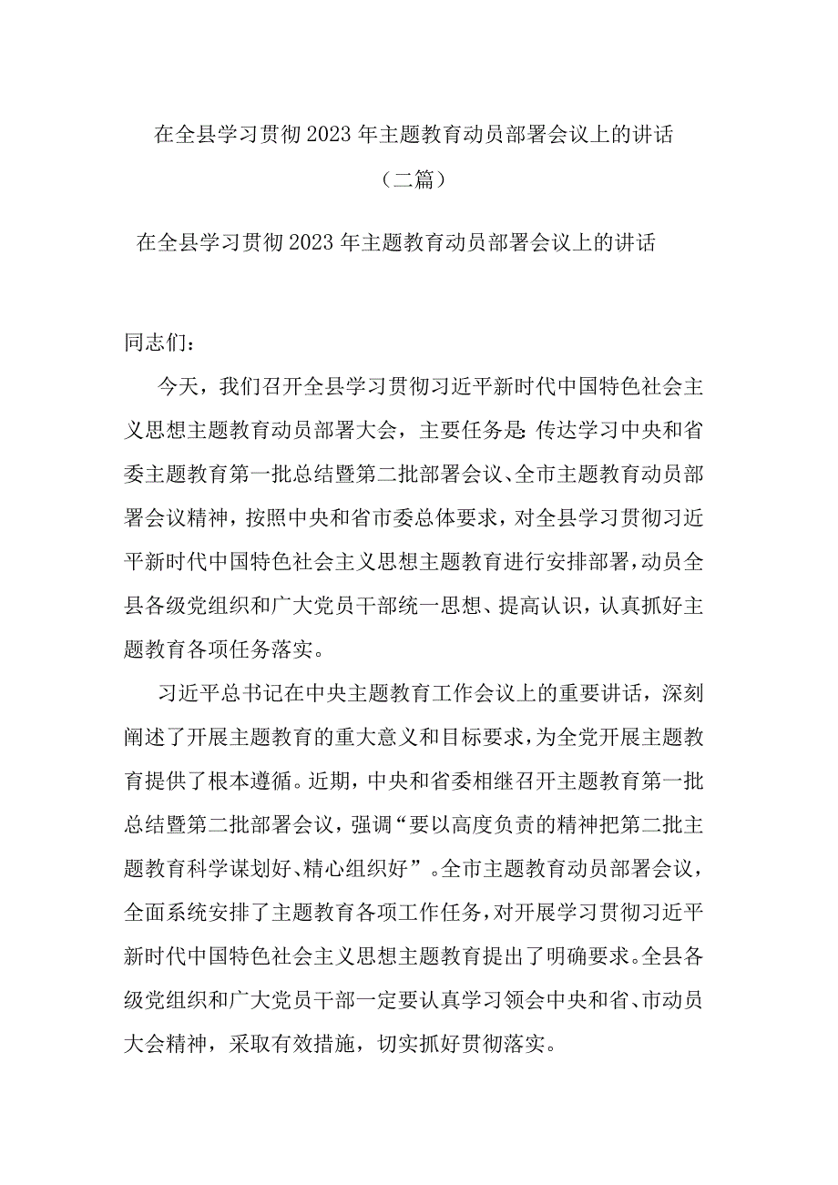 在全县学习贯彻2023年主题教育动员部署会议上的讲话(二篇).docx_第1页