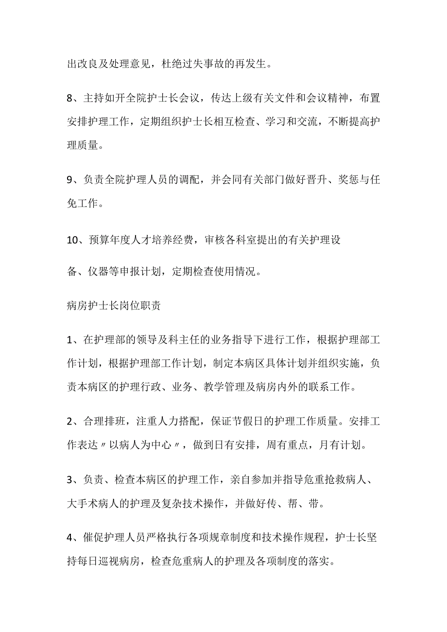 护理人员各岗位职责(1).docx_第2页