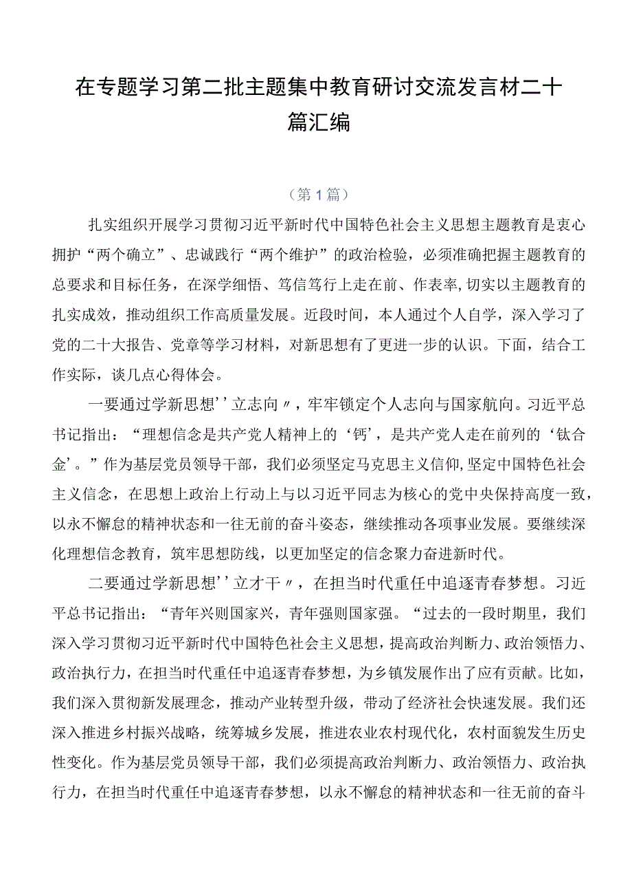 在专题学习第二批主题集中教育研讨交流发言材二十篇汇编.docx_第1页