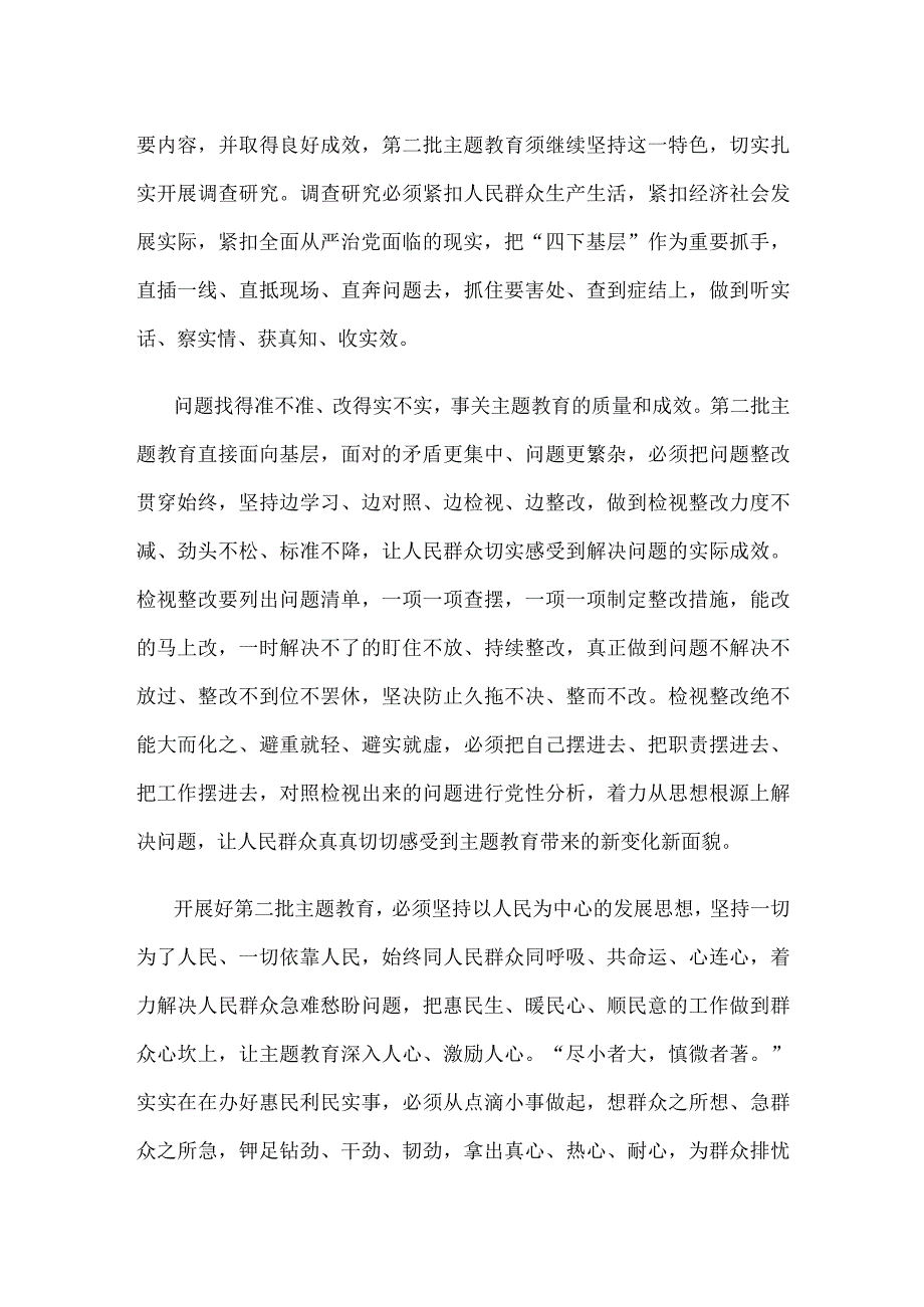 实实在在抓好第二批主题教育心得体会发言.docx_第2页