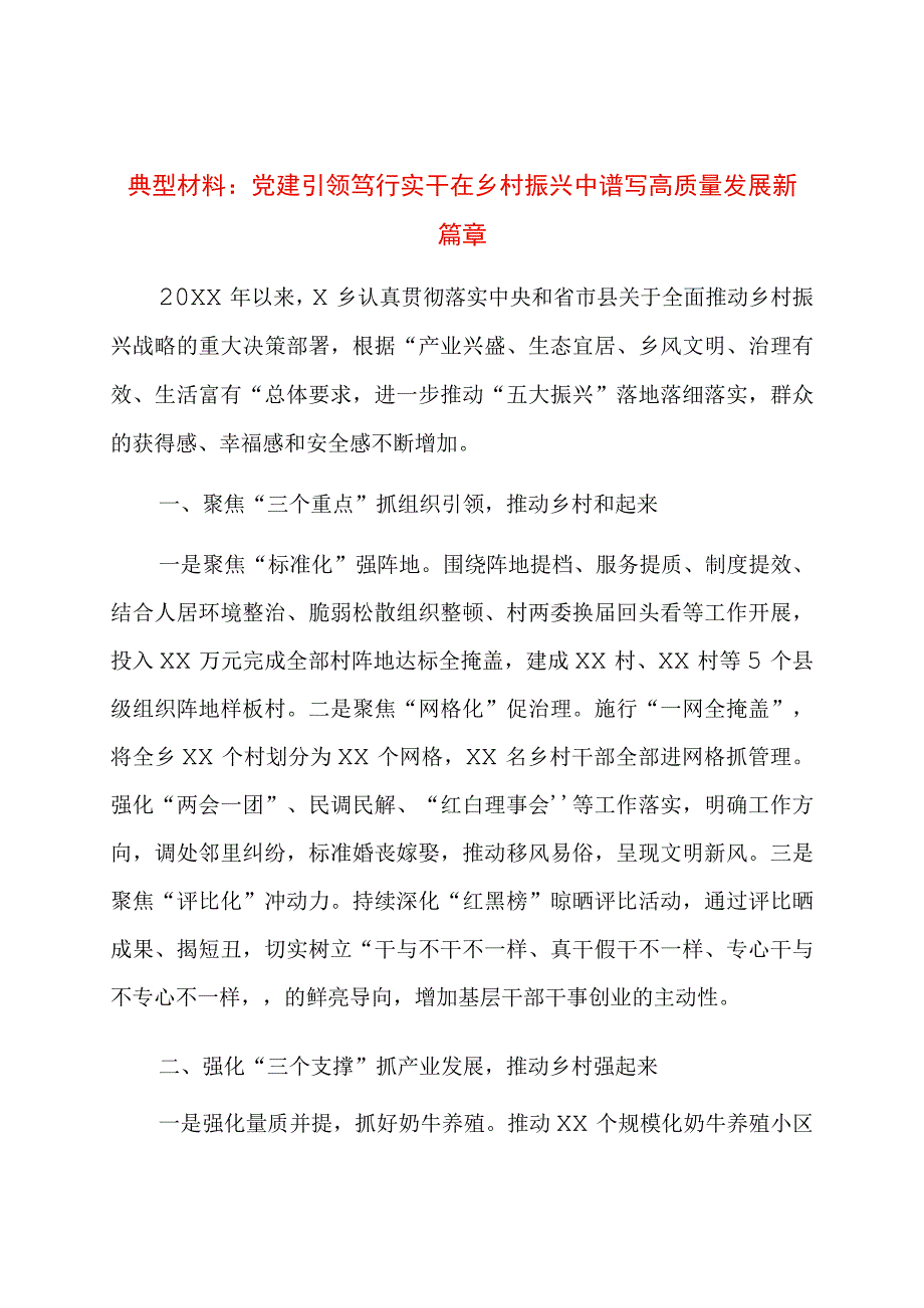 典型材料：党建引领笃行实干在乡村振兴中谱写高质量发展新篇章.docx_第1页