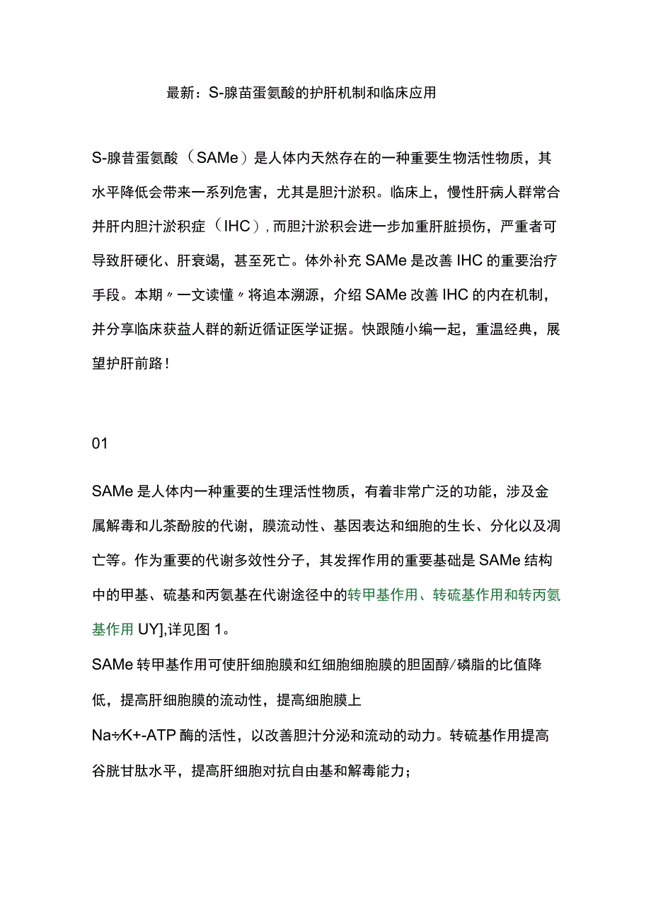 最新：S-腺苷蛋氨酸的护肝机制和临床应用.docx_第1页