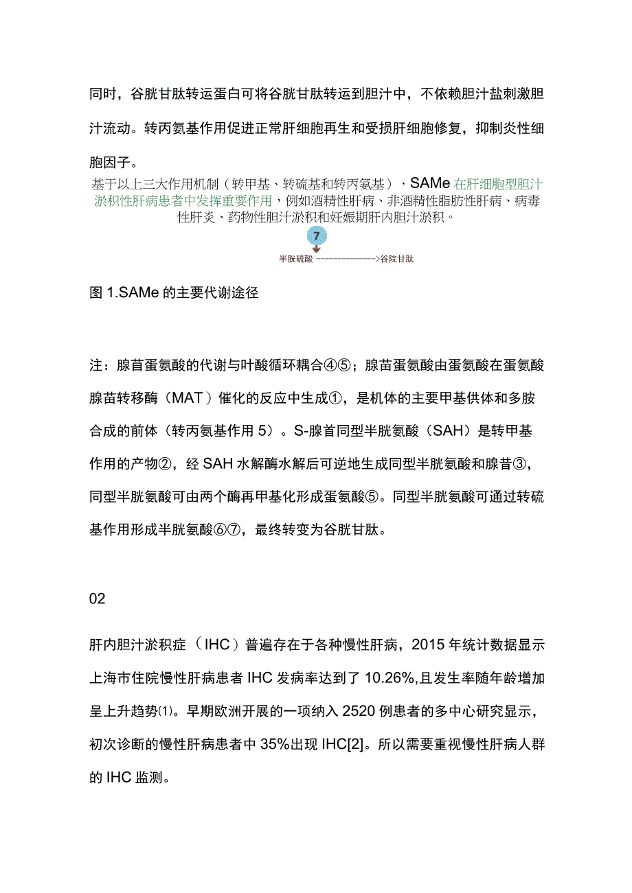 最新：S-腺苷蛋氨酸的护肝机制和临床应用.docx_第2页