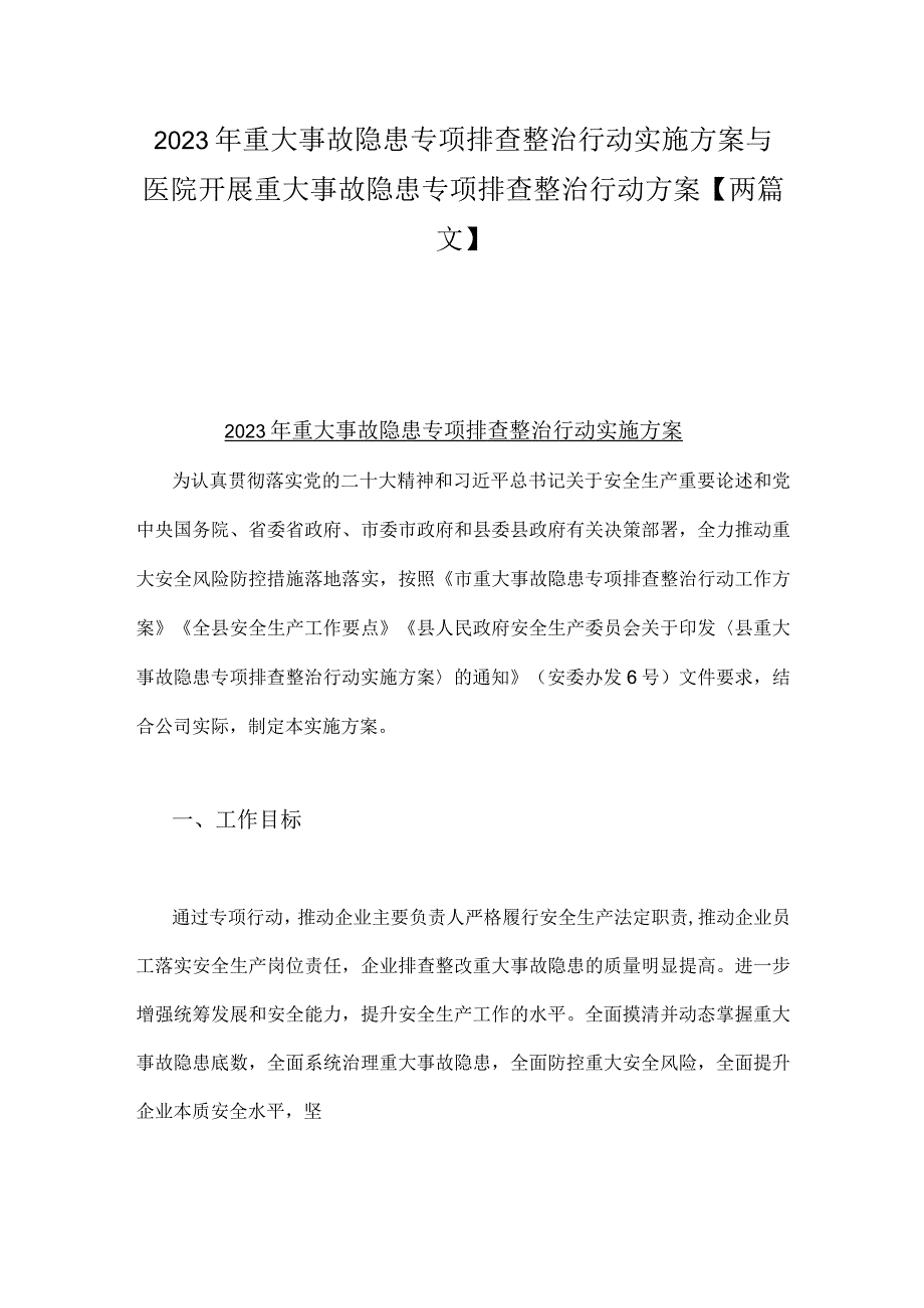 2023年重大事故隐患专项排查整治行动实施方案与医院开展重大事故隐患专项排查整治行动方案【两篇文】.docx_第1页