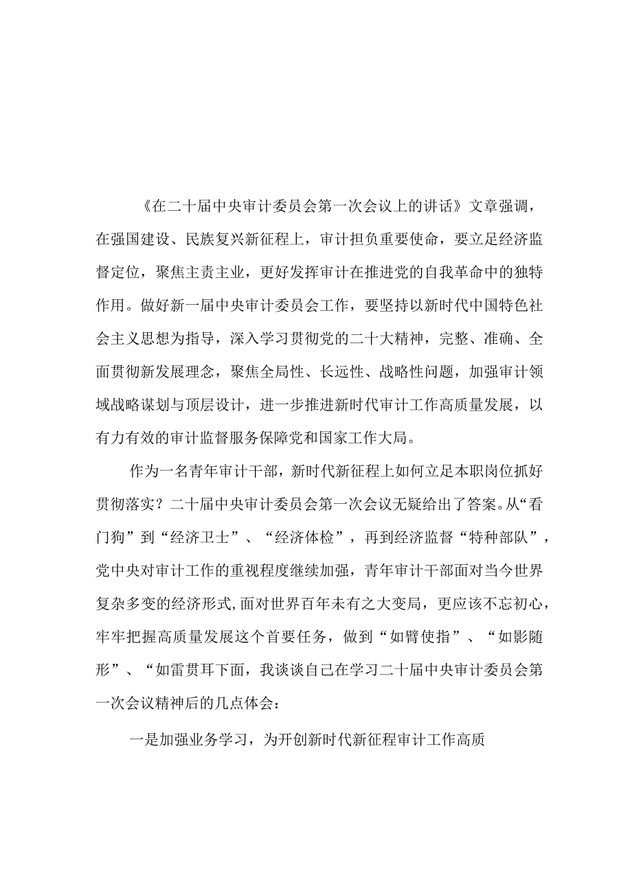 《求是》杂志重要文章《在二十届中央审计委员会第一次会议上的讲话》学习心得5篇.docx_第3页