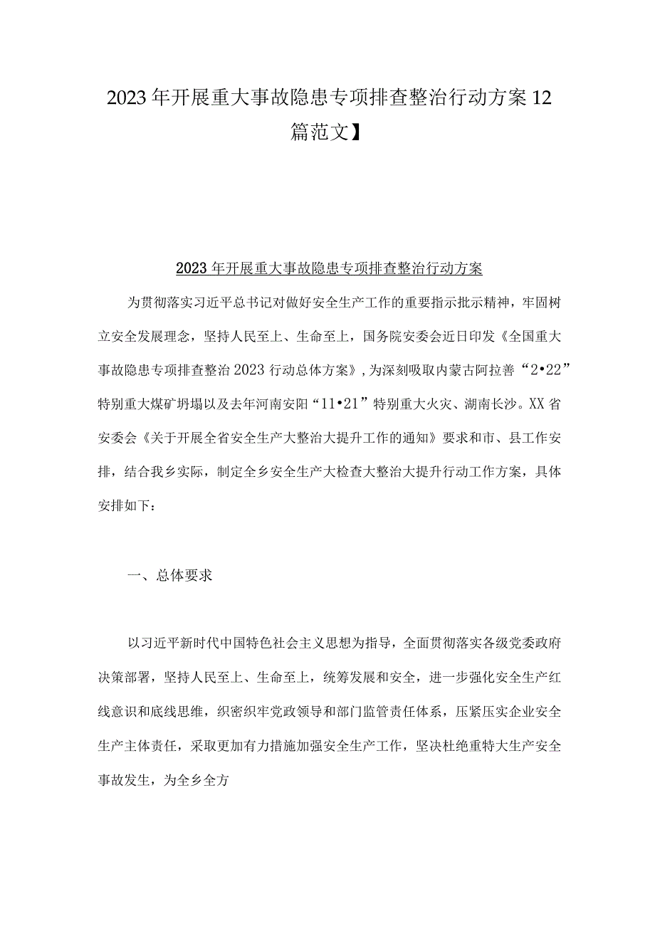 2023年开展重大事故隐患专项排查整治行动方案【2篇范文】.docx_第1页