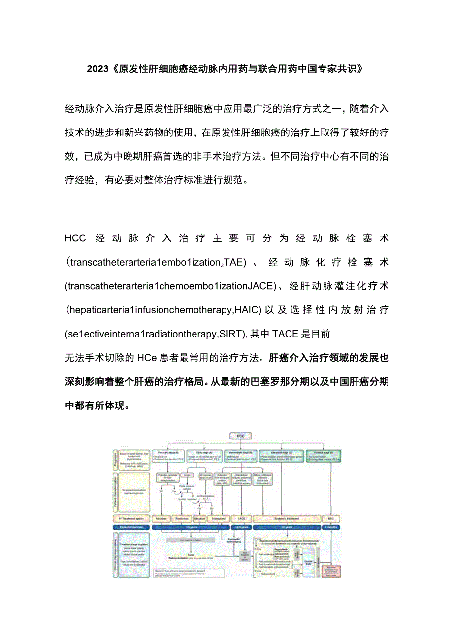 2023《原发性肝细胞癌经动脉内用药与联合用药 中国专家共识》.docx_第1页