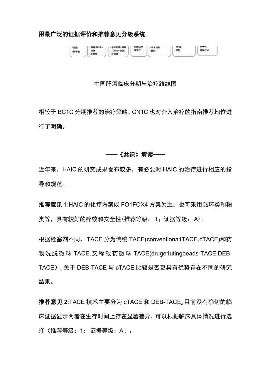 2023《原发性肝细胞癌经动脉内用药与联合用药 中国专家共识》.docx_第3页