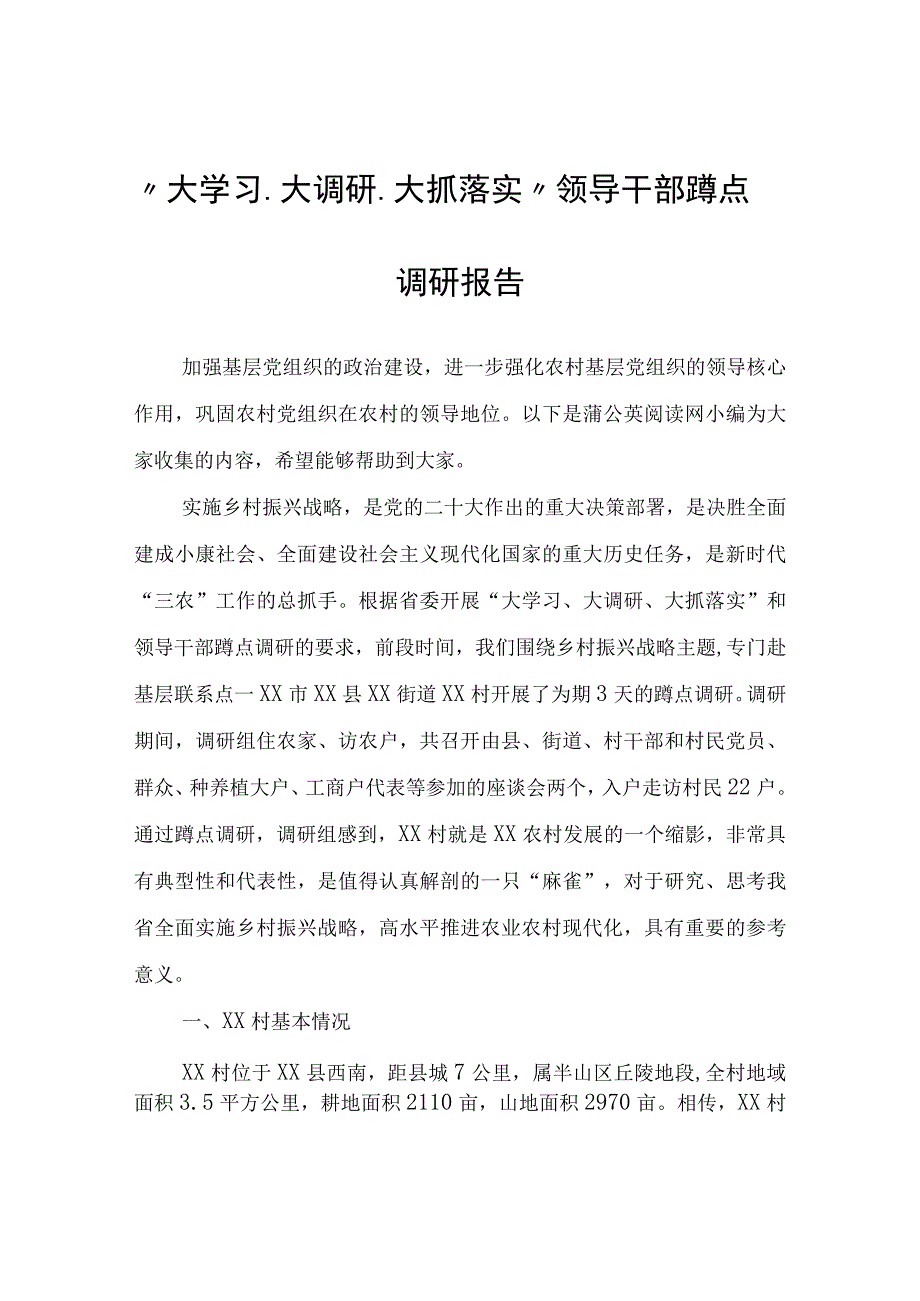 “大学习、大调研、大抓落实”领导干部蹲点调研报告.docx_第1页