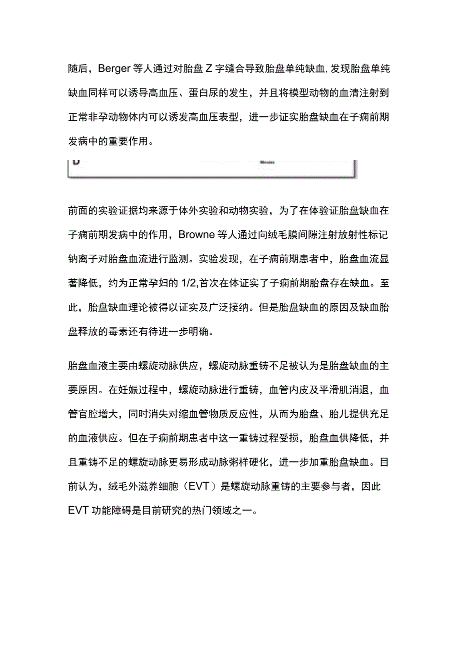 2023子痫前期病因学.docx_第3页