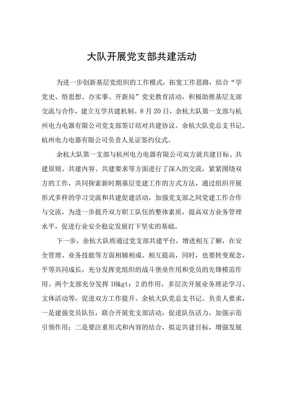 大队开展党支部共建活动.docx_第1页