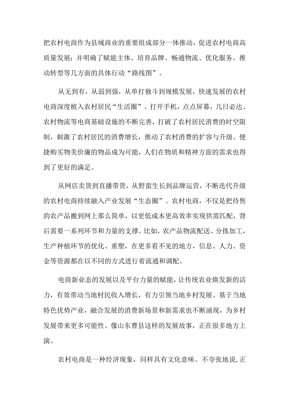 在农村电商发展中读懂中国乡村.docx_第2页