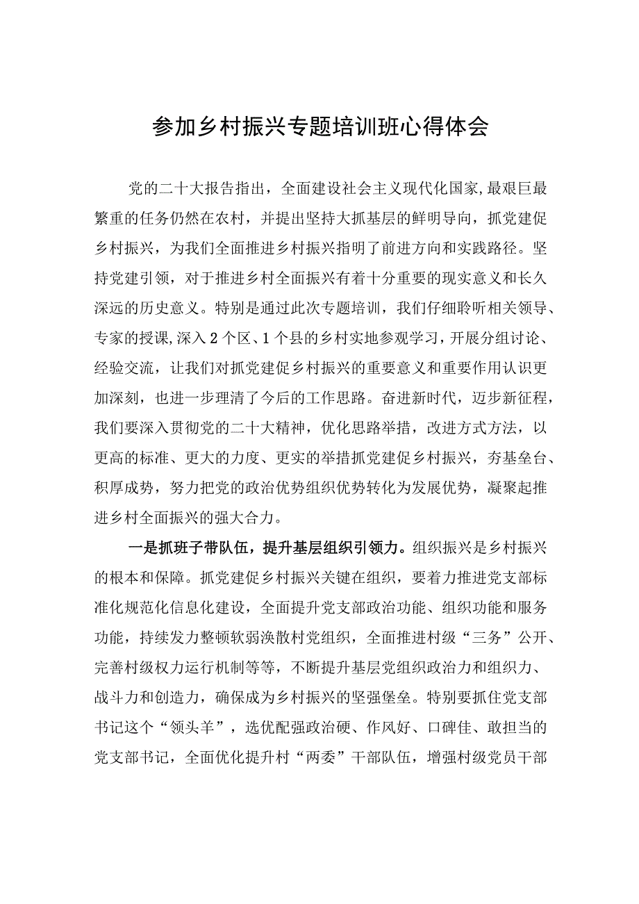 参加乡村振兴专题培训班心得体会.docx_第1页