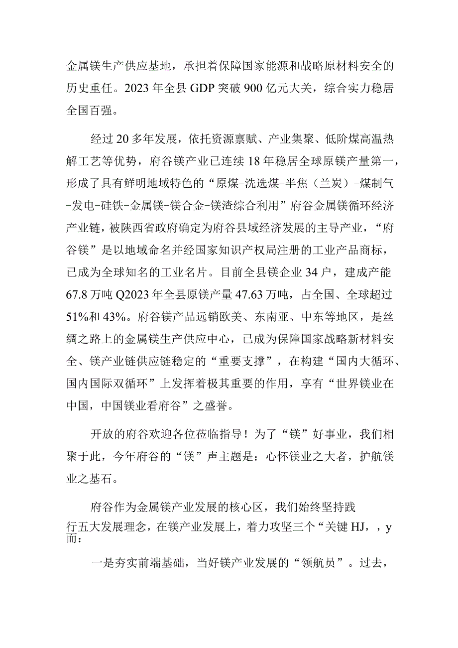 心怀镁业之大者护航镁业之基石——在全国镁行业大会暨镁业分会第二十六届年会上的讲话.docx_第2页