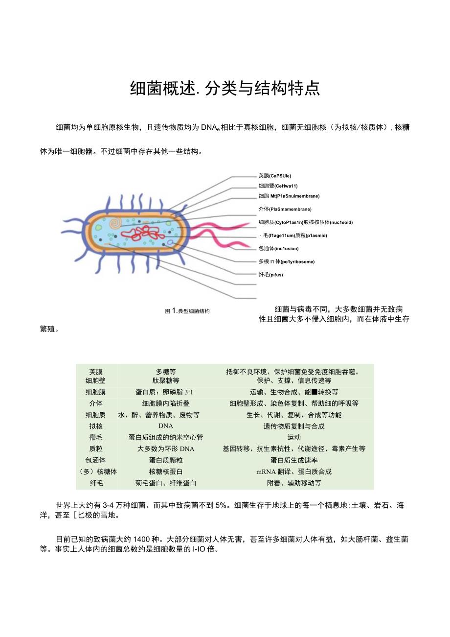 细菌概述、分类与结构特点.docx_第1页