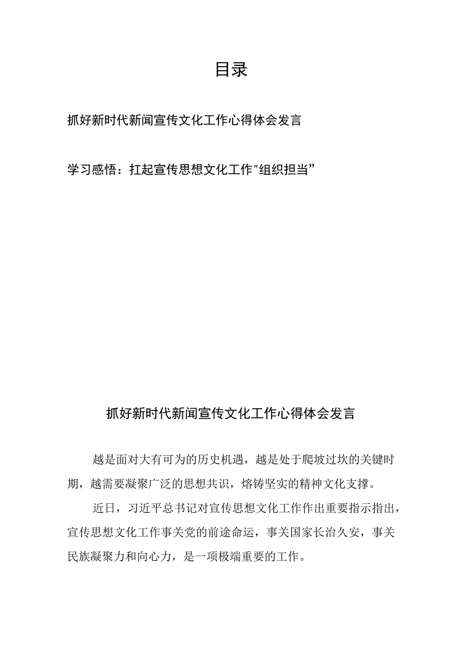 抓好新时代新闻宣传文化工作心得体会发言和学习感悟：扛起宣传思想文化工作“组织担当”.docx_第1页