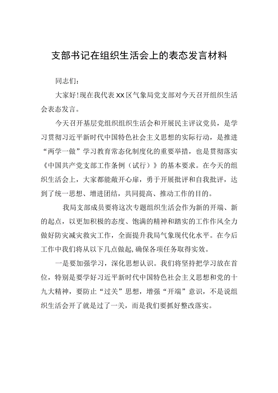 支部书记在组织生活会上的表态发言材料.docx_第1页