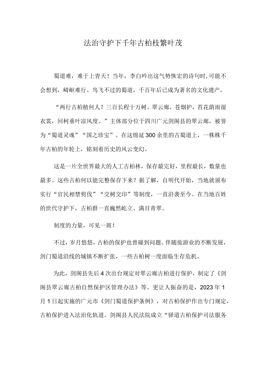 法治守护下 千年古柏枝繁叶茂.docx_第1页